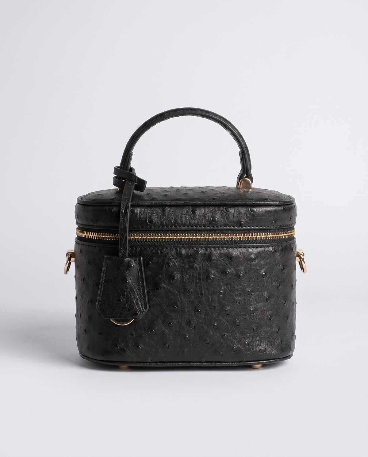 Brindisi ostrich-embossed vanity bag in Black – front view