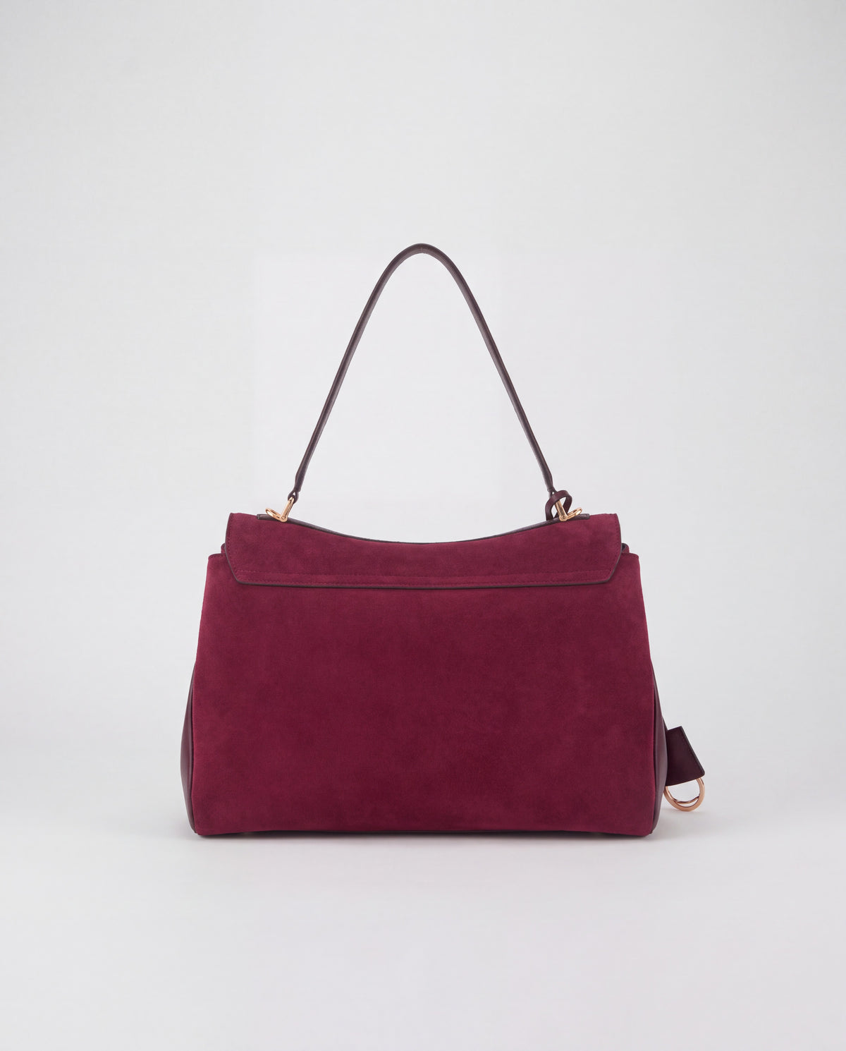 Dolce Large bag in Burgundy – back view