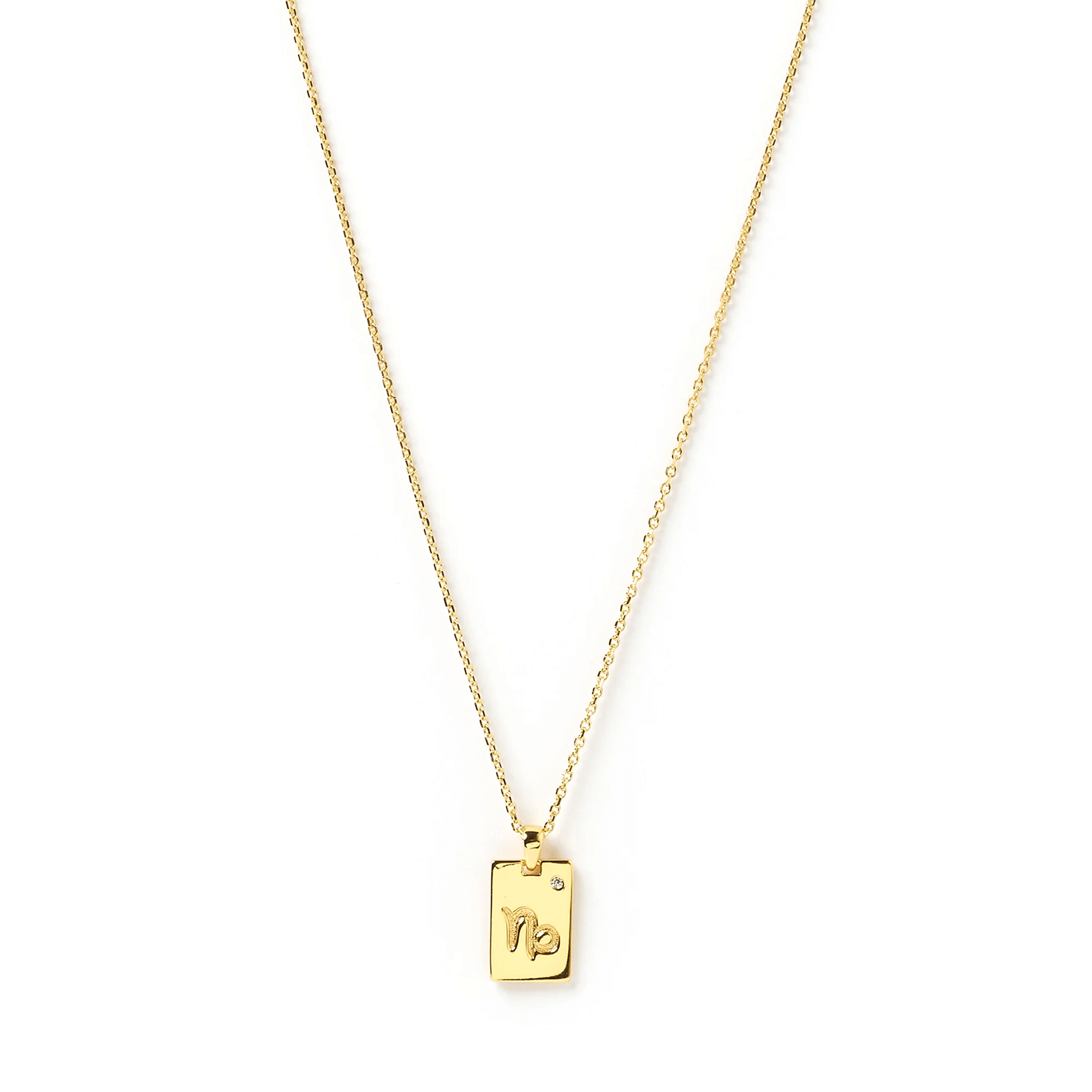 Zodiac Gold Tag Necklace