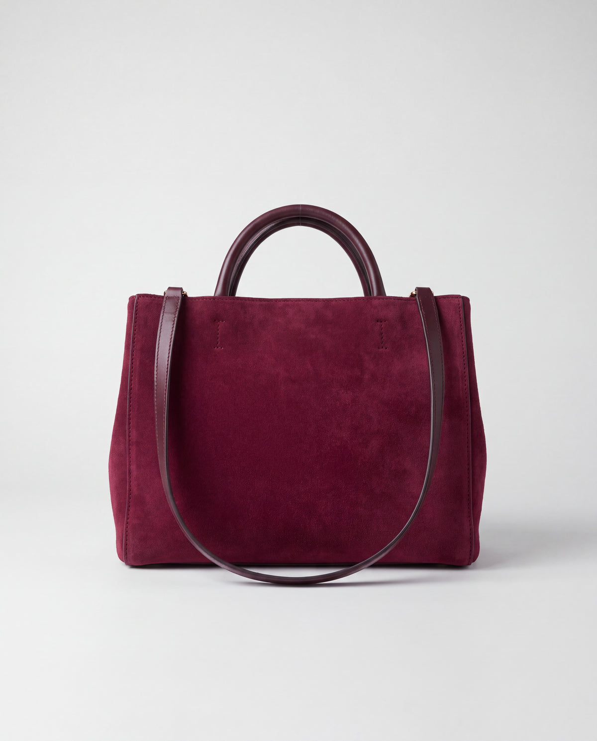 Dolce Medium bag in Burgundy – back view